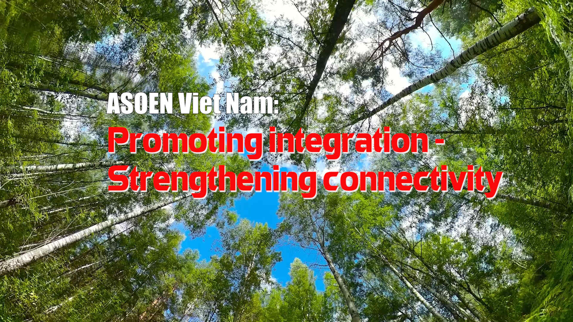 ASOEN Viet Nam: Promoting integration - Strengthening connectivity